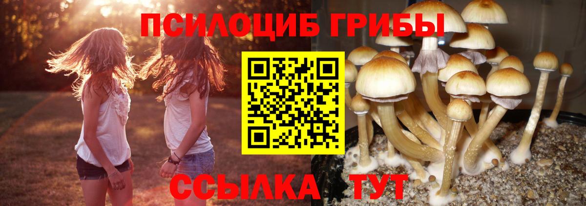 Галлюциногенные грибы Magic Shrooms  Вход с VPN  Псилоцибиновые грибы Psilocybine cubensis  Ивантеевка 